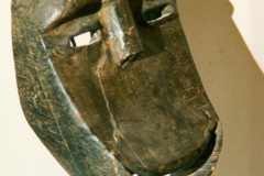7904388_XXL