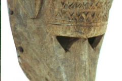 7904400_XXL
