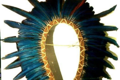 am28amazonas-federn