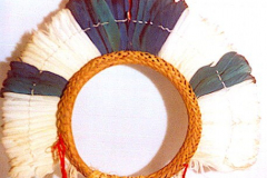am357ehawene