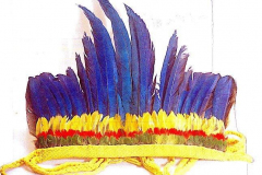 am366