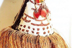 am467piaroa-Tukuna