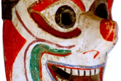 am162ecuador-clown-ibold-cotopaxi