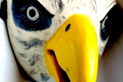 am653cotopaxi-mexmask-2