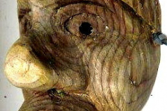 am798enga-kolumbien-2