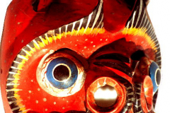 am152cuzco-drache