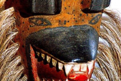 am235-pascola-yaqui-hyaene