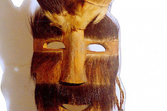 am275tarahumara