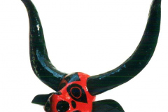 am53zgoias-pirenopolis-stier-brasil