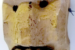 am637mapuche-temuco-araucanos-chile-2