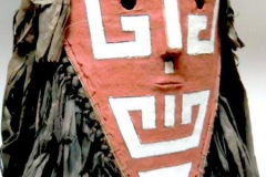 am694wayana-aparai-1