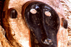 am80piaroa-huarime-affe