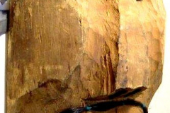 am894mapuche-2