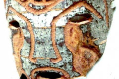 am901feuerland-Renata-Rafalak-Ushubaia