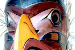 am955kwakiutl-adler-3