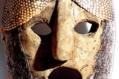 am224Yuma-Creek-armadilloskin