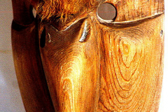 am234-cherokee-vogel