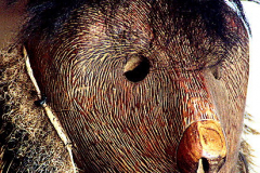 am247cherokee-bearclan