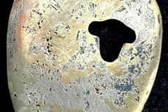 332901_XXL