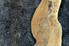 332922_XXL-1