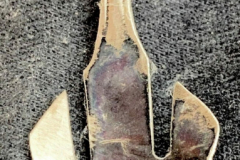 333012_XXL 333012_XXL