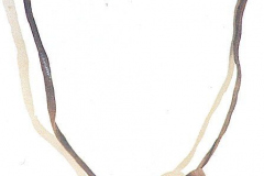 am486yupik