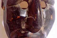 7905246_XXL