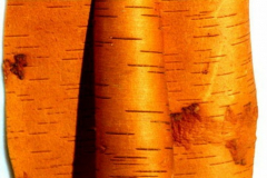 7906041_XXL