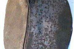 1598220_XXL