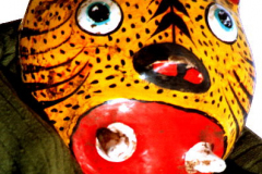 am102-mexiko-kokosjaguar