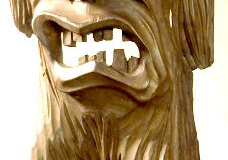 am859zeder-nordamerika-2