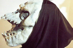 Horrormaske (Latex)