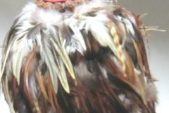as1664ostindien-2