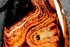 8942568_XXL
