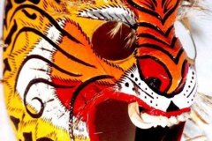 am191mexiko-olinala-prozession-of-tigres