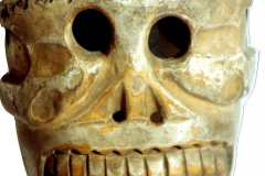 am290mex-michoacan-tocuaro-tod