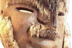 am375mex-guerteltier