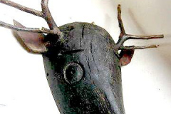 am783mexiko-hirsch-2