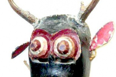 am898mexiko-guerrero-2