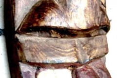 am906mexiko-kolumbia-inga