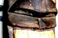 am907mexiko-kolumbia-inga