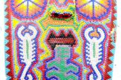 am923huichol-2