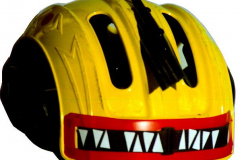 am165domrep-helm
