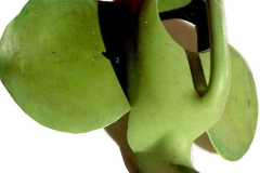 am172haiti-giesskanne