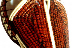 am189wounaan-panama-pferd