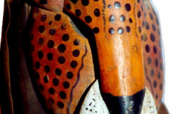 am218boruca-costarica