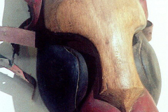 am493boruca-costa-rica