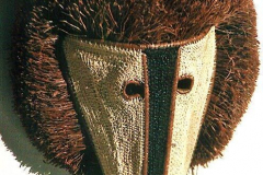 am567embera