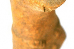 8341788_XXL