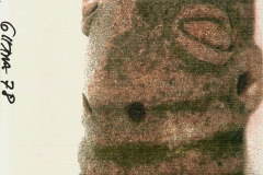 8341803_XXL